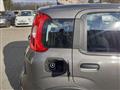 FIAT PANDA PROMO FINANZIAMENTO 1.0 FireFly S&S Hybrid