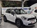 MINI Countryman Mini Cooper S Countryman ALL4 Automatica