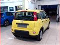 FIAT Panda 1.0 FireFly S&S Hybrid MY24 KM ZERO!!! IVATA NEOPATENTATI