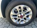 FIAT PANDA VAN Panda 1.3 mjt 16v Lounge 75cv E5+