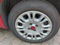 FIAT PANDA VAN 1.3 Multijet 75 CV NEOPATENTATI