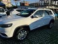 JEEP CHEROKEE 2.2 Mjt AWD Active Drive I Business KM CERTIFICATI