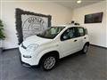 FIAT Panda 1.0 firefly hybrid s&s 70cv