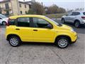 FIAT Panda 1.0 firefly hybrid s&s 70cv