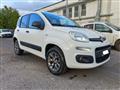 FIAT PANDA 1.3 MJT 80 CV S&S 4x4