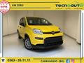 FIAT PANDA 1.0 FireFly S&S Hybrid Pandina