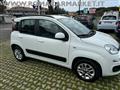 FIAT PANDA 1.2 Lounge KM CERTIFICATI 5 POSTI UNIPRO