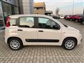 FIAT PANDA 1.2 benzina 69cv. Easy,Km 37.000 OK NEOPATENTATI