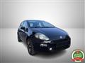 FIAT PUNTO 1.2 8V 5 porte Lounge OK NEO PATENTATI