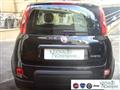 FIAT PANDA 1.0 FireFly S&S Hybrid Md.24 Km0 VETTURA NUOVA