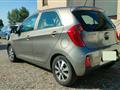 KIA PICANTO 1.0 12V EcoGPL 5 porte Active Collection