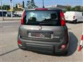 FIAT Panda 1.0 firefly hybrid City Life  PROMO FINANZ