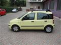 FIAT PANDA 1.2 Dynamic *OK NEOPATENTATI