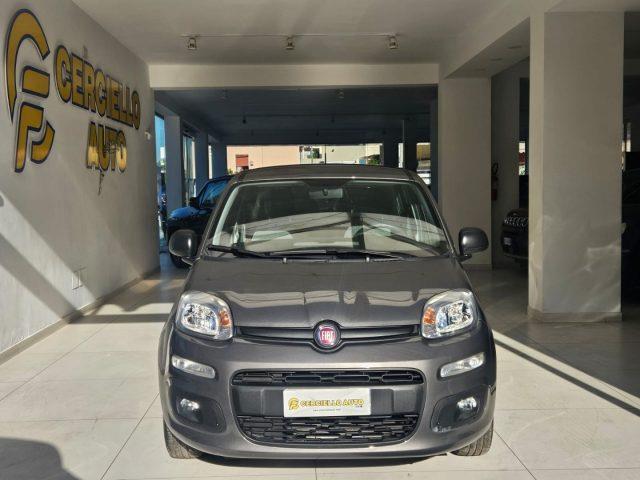 FIAT PANDA 1.0 FireFly S&S Hybrid da ?119,00 mensili