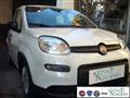 FIAT PANDA 1.0 FireFly S&S Hybrid Pandina Urban Km 0