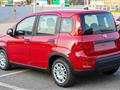 FIAT PANDA 1.0 FireFly S&S Hybrid Pandina