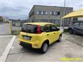 FIAT PANDA 1.0 FireFly S&S Hybrid Pandina **KM0** NEOPATENTAT