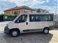 FIAT DUCATO 33 2.3 MJT 150CV PM-TM Panorama Flex Floor