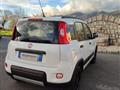 FIAT PANDA 1.3 MJT 95 CV S&S 4x4