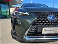 LEXUS UX Hybrid Executive CVT KM CERTIFICATI - IVA ESPOSTA