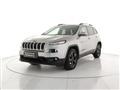 JEEP CHEROKEE 2.2 Mjt AWD Active Drive Night Eagle