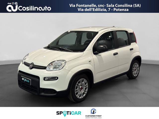 FIAT PANDA 1.0 FireFly S&S Hybrid City Life MY23