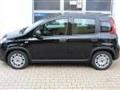 FIAT PANDA FIAT PANDA