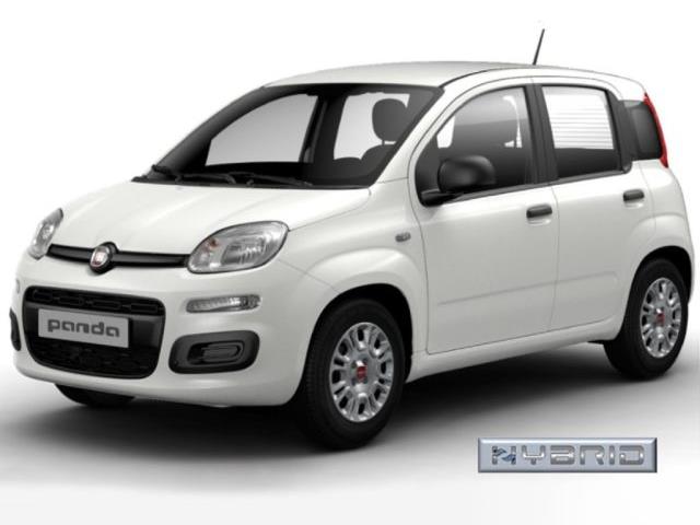 FIAT PANDA 1.0 FireFly S&S Hybrid con Pack Comfort