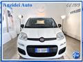 FIAT PANDA 1.2 EasyPower GPL Easy