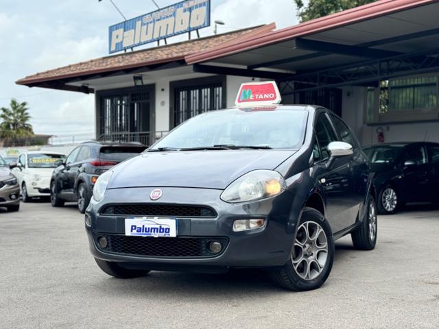 FIAT PUNTO 1.4 8V 5 porte Natural Power Lounge