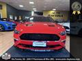 FORD MUSTANG 5.0 V8 TiVCT GT FULL OPTIONAL EUROPEA ufficiale