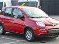 FIAT PANDA 1.0 FireFly S&S Hybrid Pandina