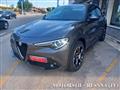 ALFA ROMEO STELVIO 2.2 Turbodiesel 210 CV AT8 Q4 Veloce